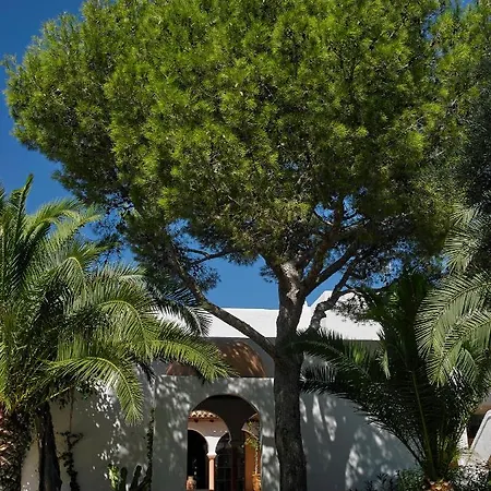 Las Brisas De Ibiza 4* San José